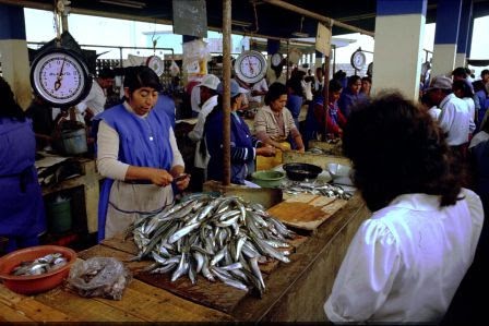 La pêche sur quoi attraper le chevesne de vidéo